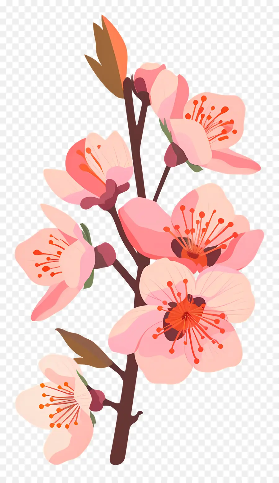 زهر الخوخ，أزهار الكرز PNG