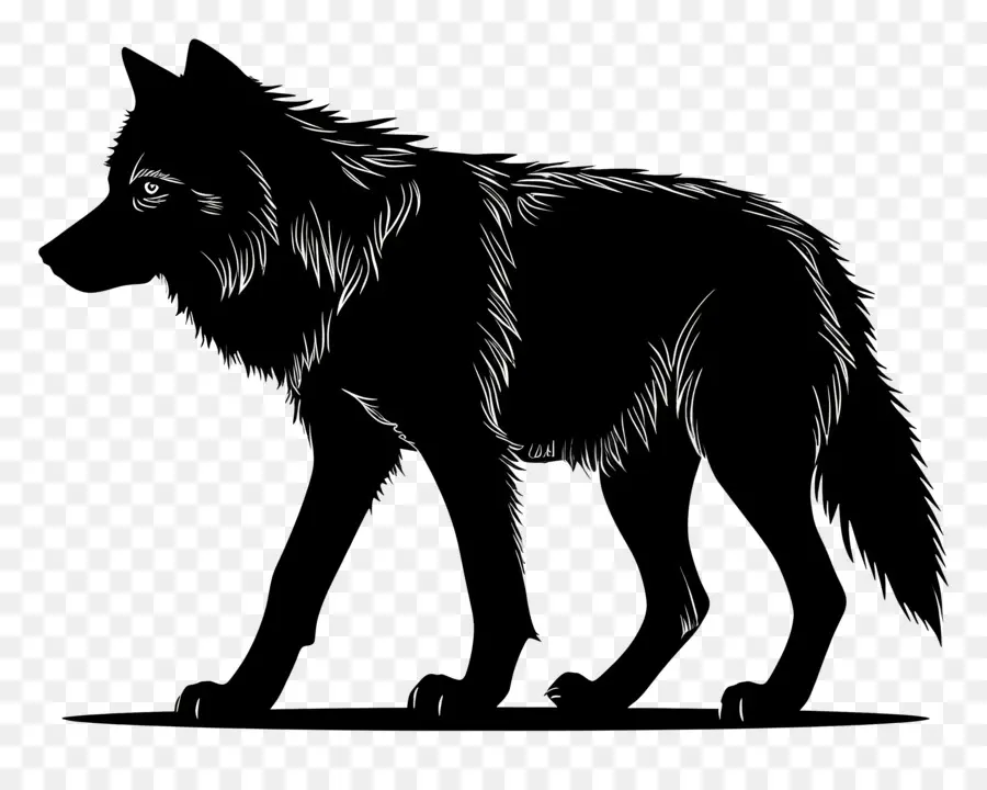 الذئب خيال，الذئب PNG