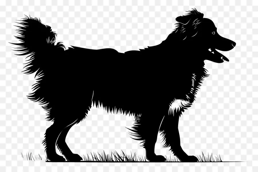 الكلب خيال，الكلب الأسود PNG
