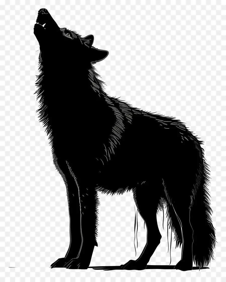 الذئب خيال，الذئب PNG