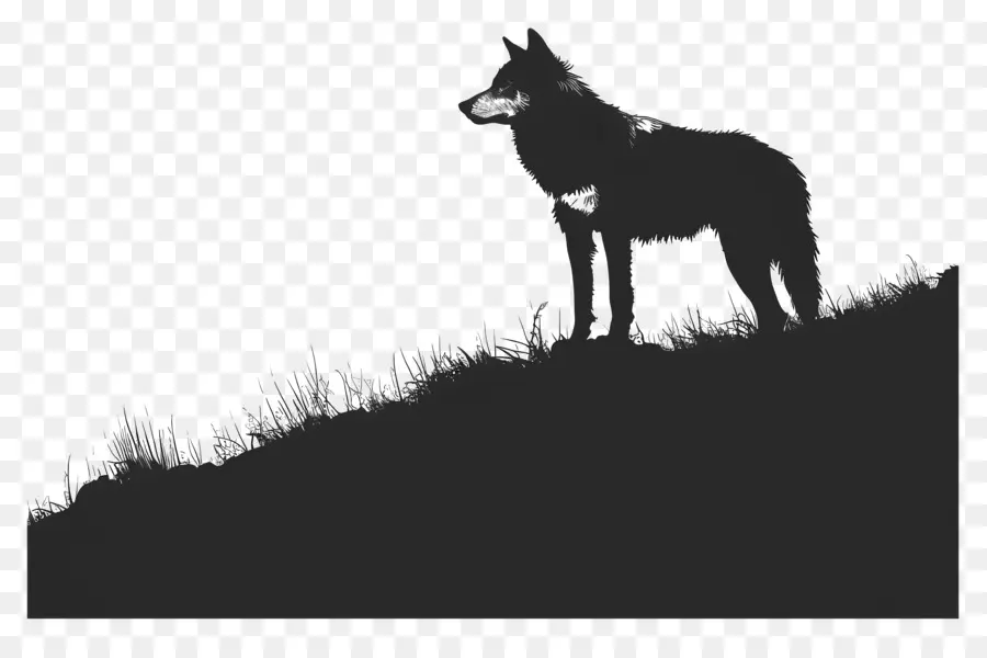 الذئب خيال，صورة ظلية ، PNG