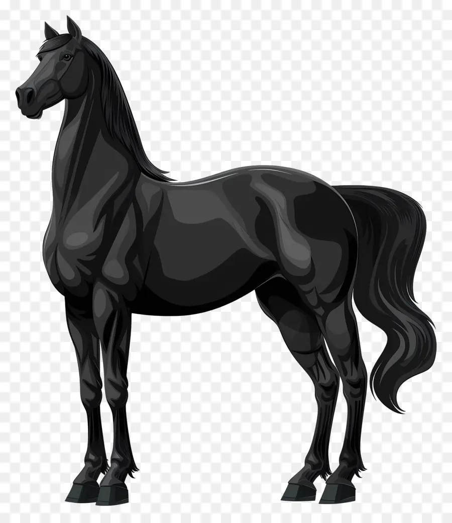 الحصان الأسود，مان الأبيض PNG