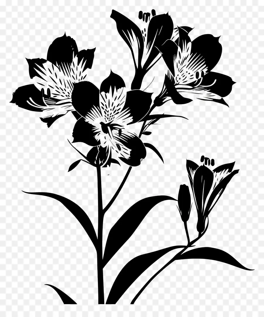 الزهور والصورة الظلية，الزهور السوداء PNG