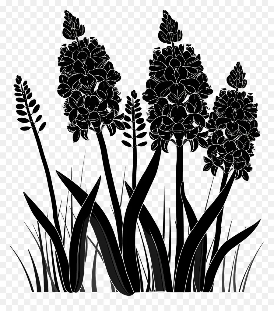 الزهور والصورة الظلية，النباتات السوداء PNG