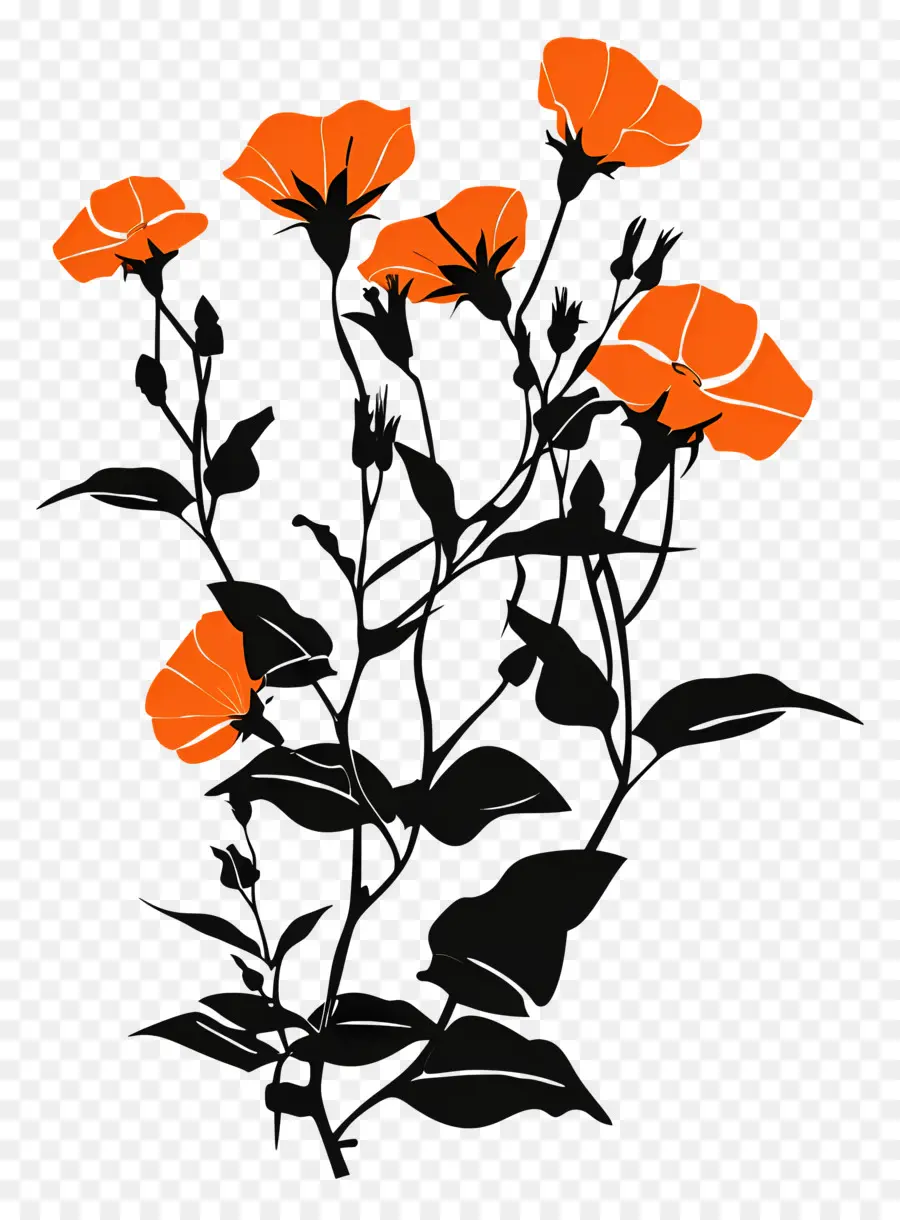 الزهور والصورة الظلية，زهور البرتقال PNG