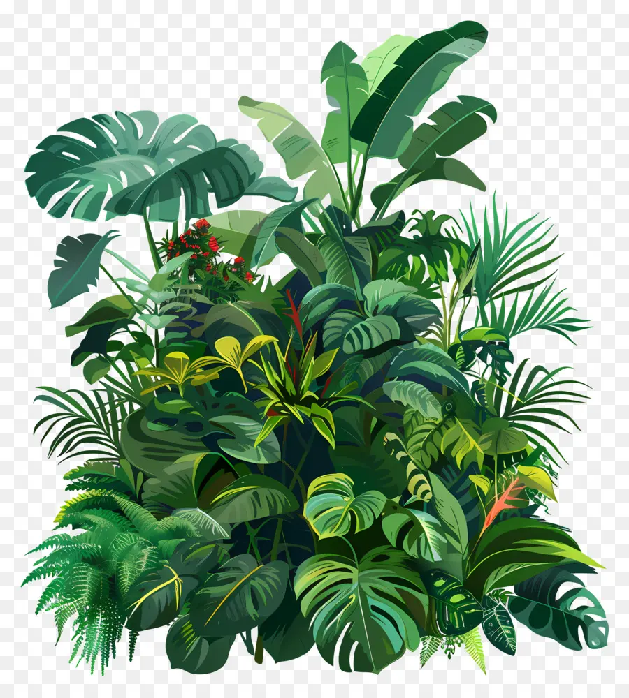 النباتات المورقة，الغابة الاستوائية PNG