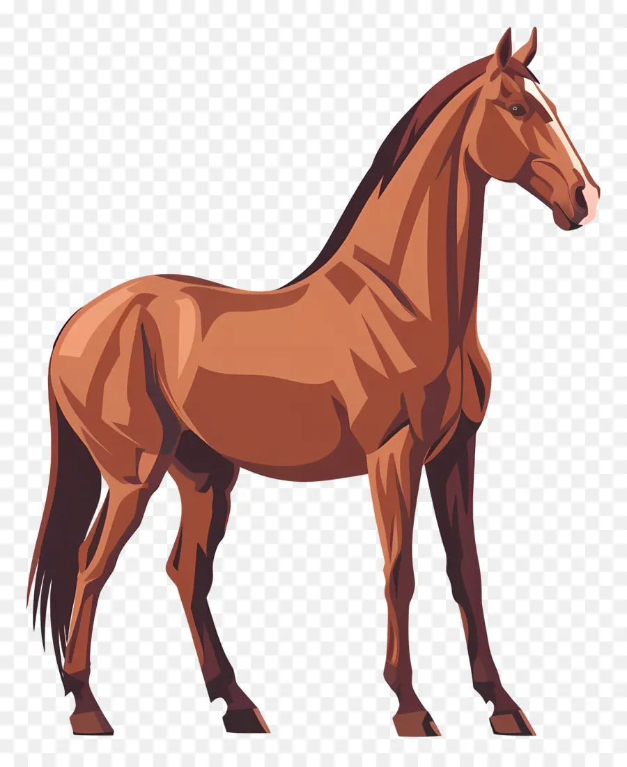 الحصان البني，ماني طويل PNG
