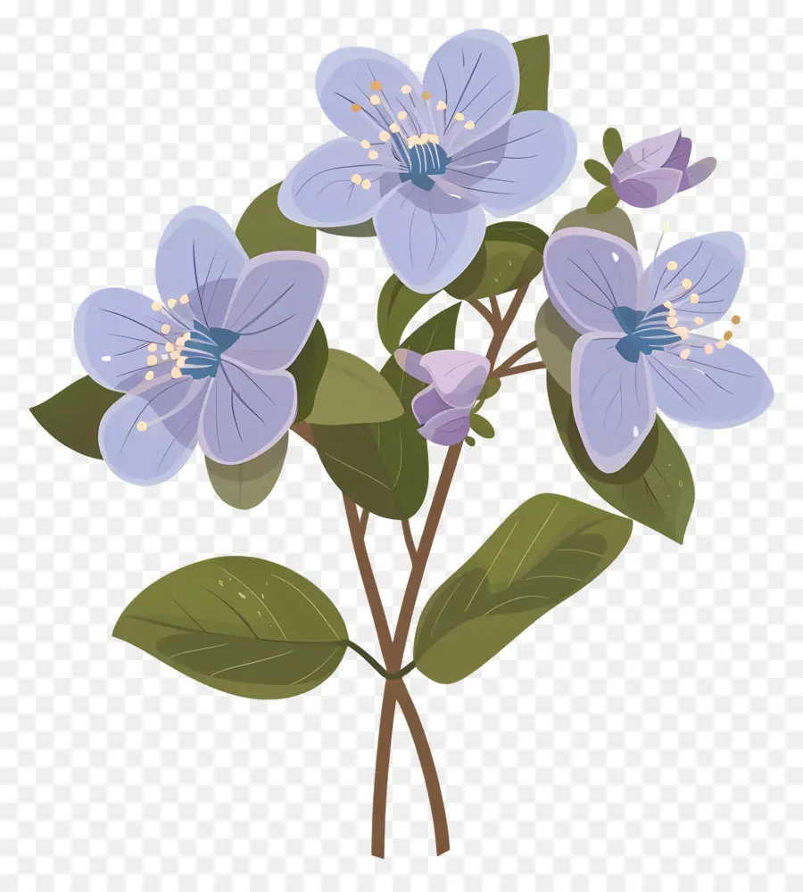 زهرة ولاية ألاسكا，الزهرة الزرقاء PNG