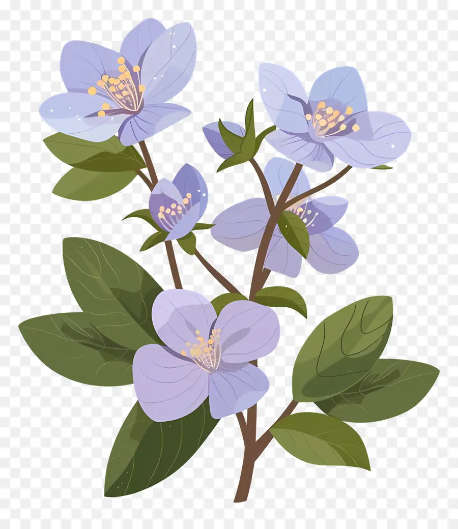 زهرة ولاية ألاسكا，الزهور الزرقاء PNG