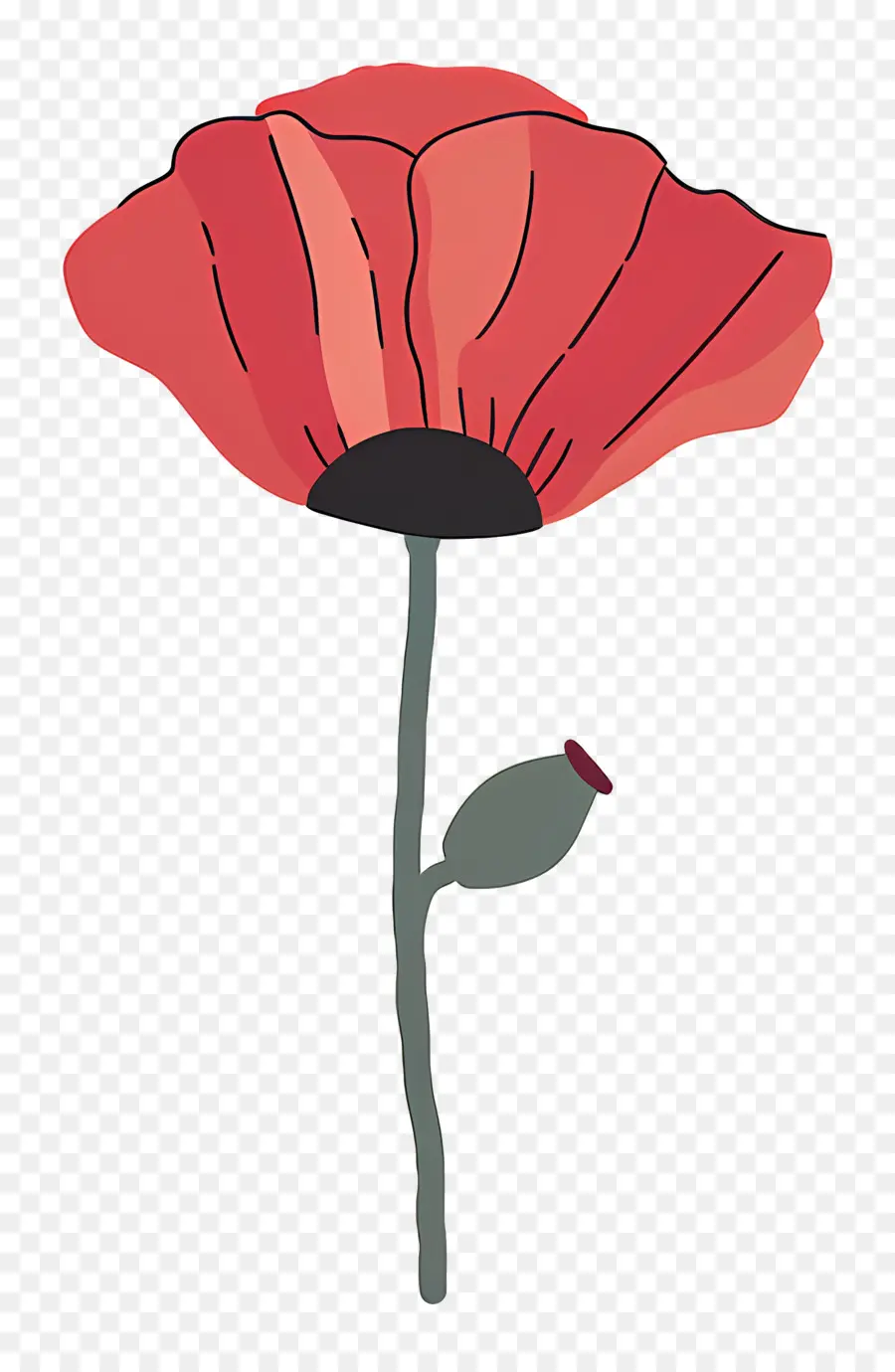 كي لا ننسى，زهرة الخشخاش الحمراء PNG