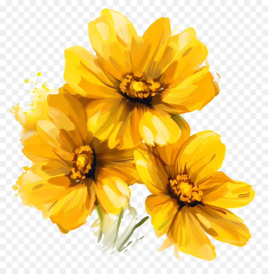 الزهور الصفراء，زهرة PNG