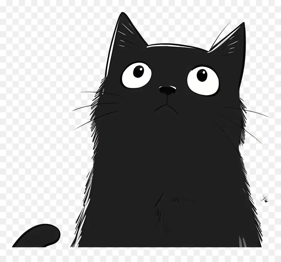 وجه مضحك，القط الأسود PNG