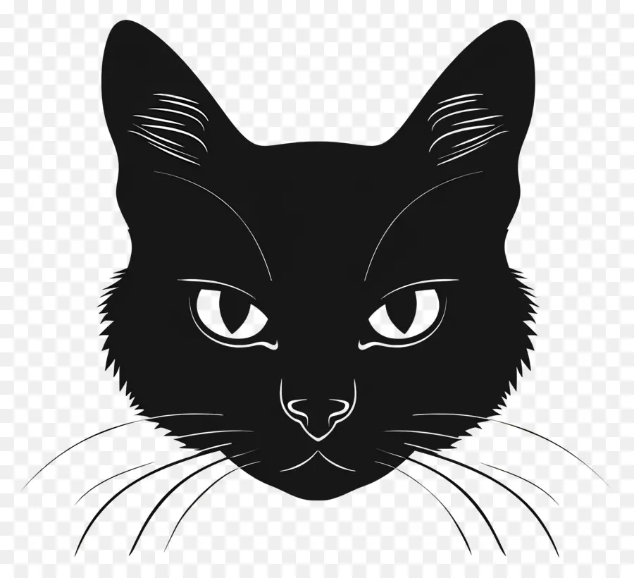 وجه قطة أسود，القط PNG