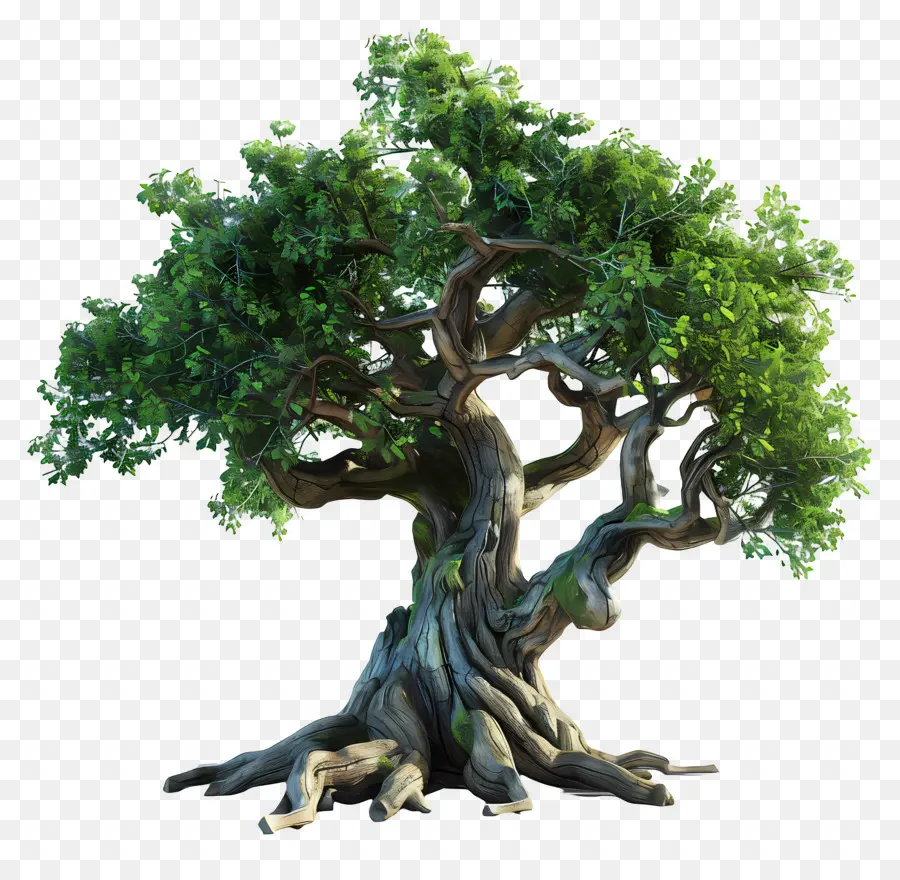 جذع شجرة，شجرة PNG