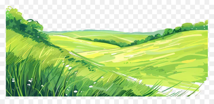 الحقل الأخضر，العشب طويل القامة PNG