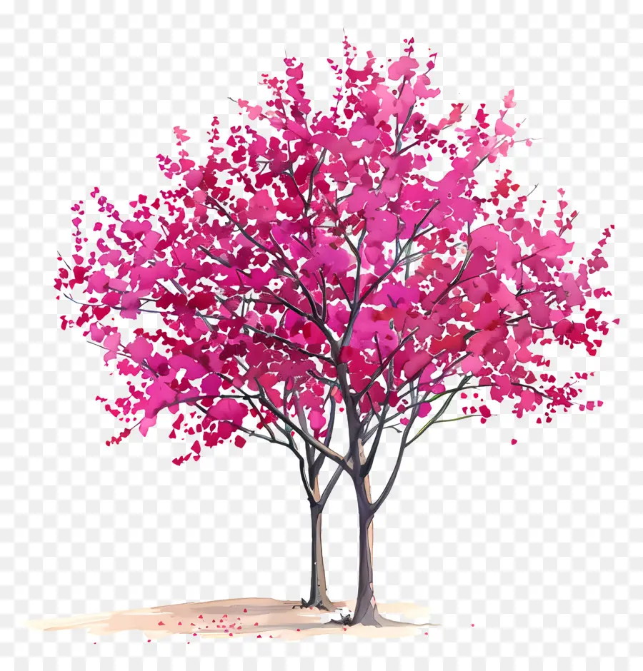 شجرة ريدبد，الوردي شجرة PNG