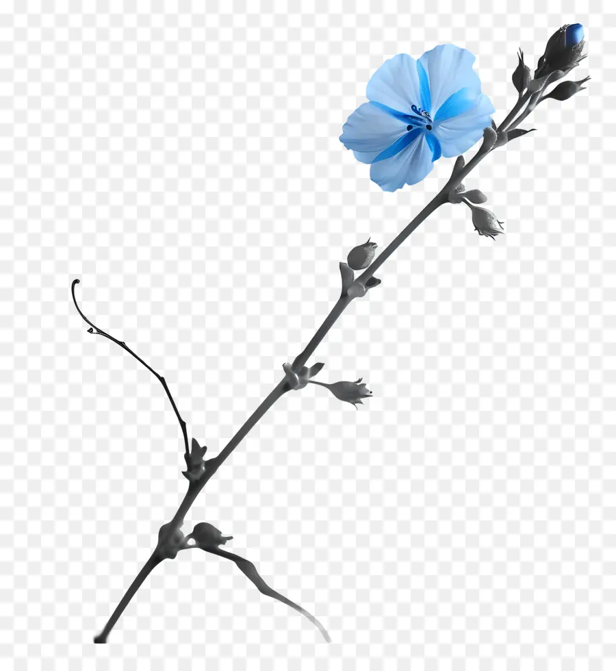 الزهرة الزرقاء，لون نابض بالحياة PNG