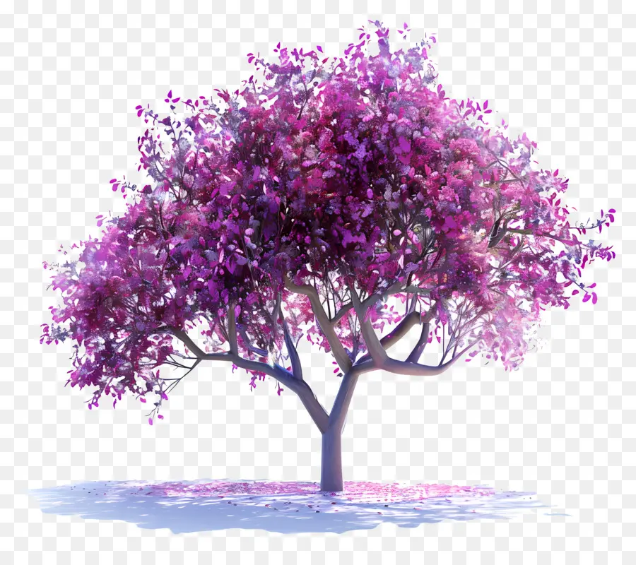 شجرة يهوذا，الوردي شجرة PNG