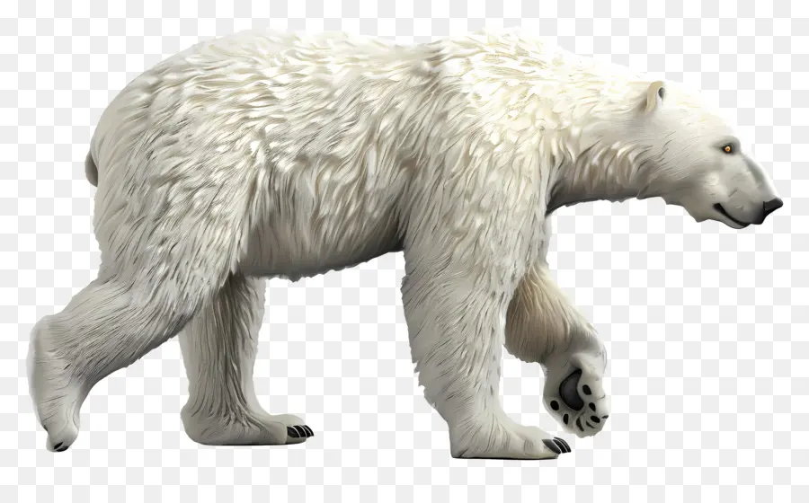 عرض جانبي الدب القطبي，الدب القطبي PNG