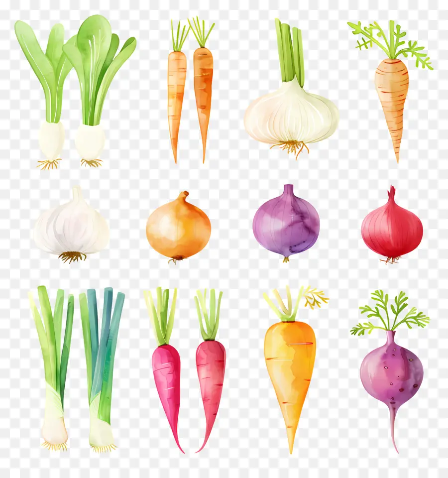 الخضروات，ألوان مائية PNG