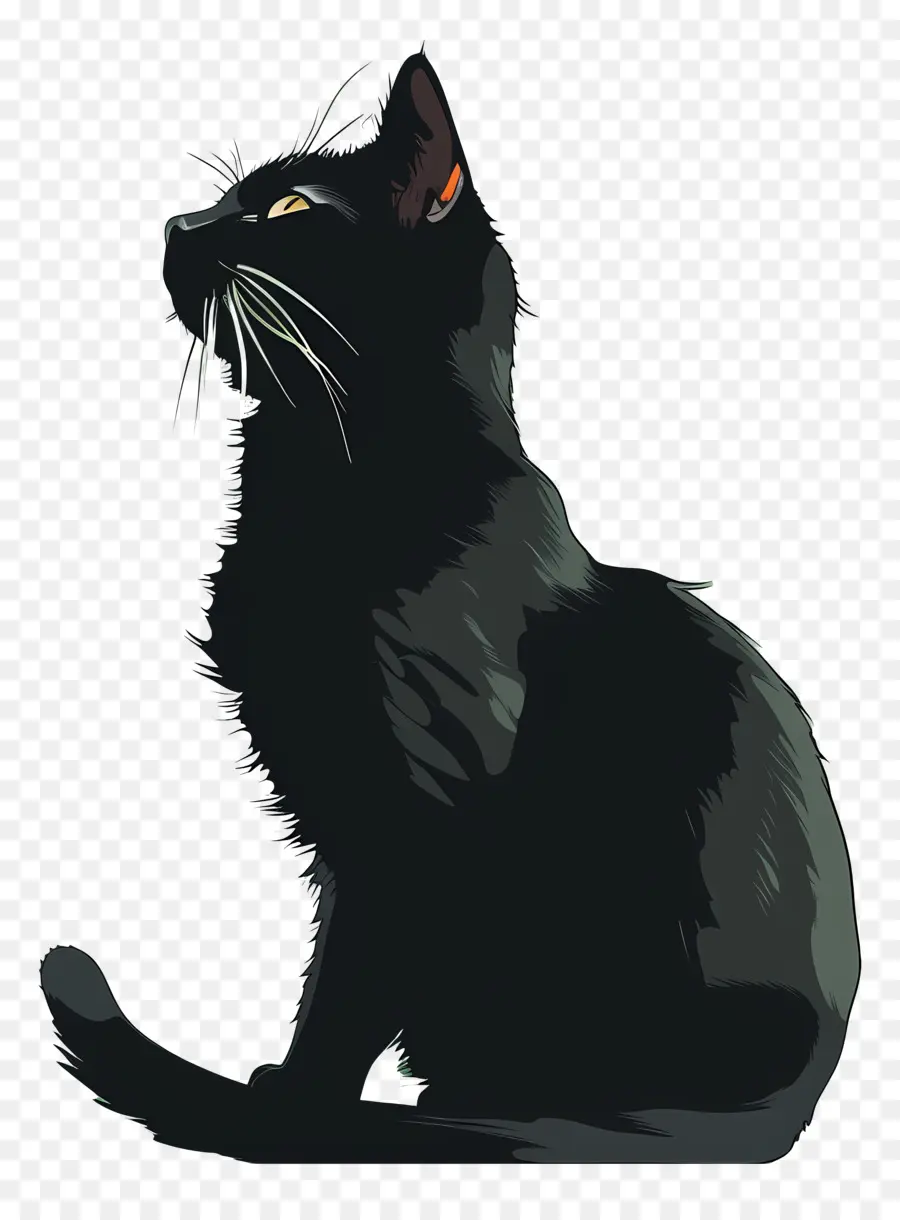 القط الأسود，فرو لامع PNG