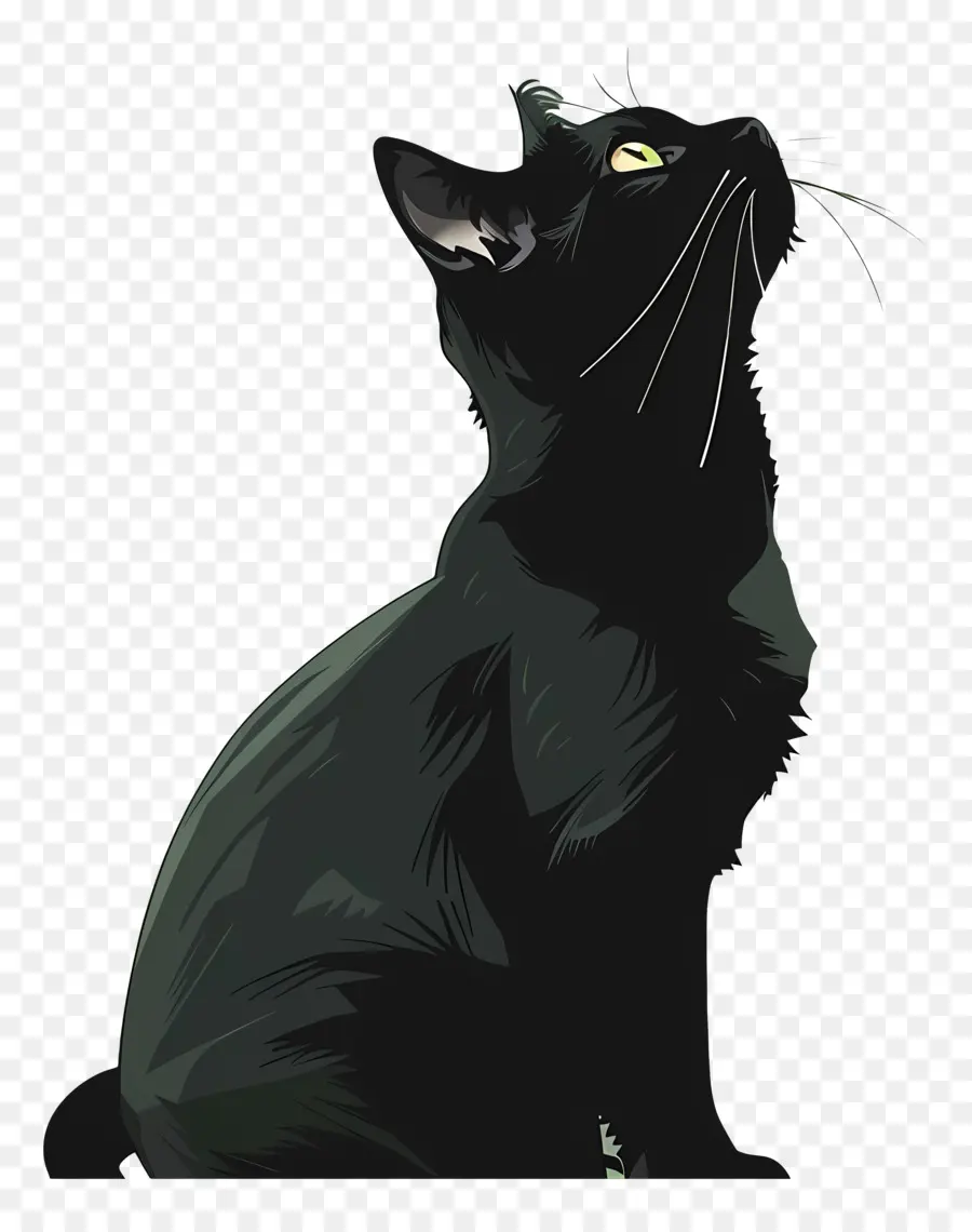القط الأسود，العيون الخضراء PNG