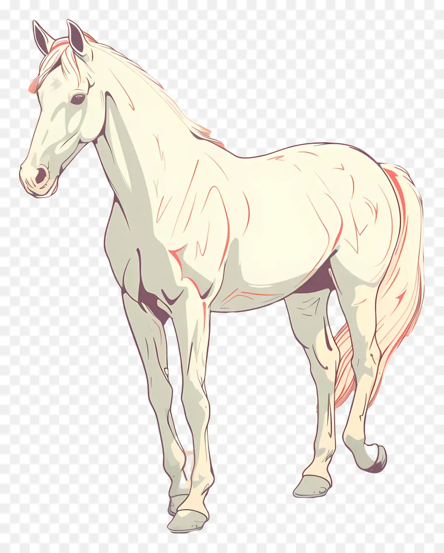 الحصان，الحصان الأبيض PNG