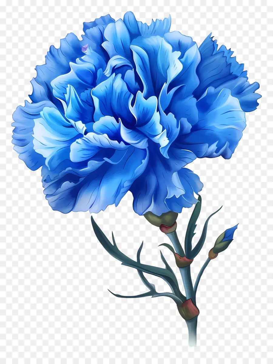 القرنفل الأزرق，زهرة PNG