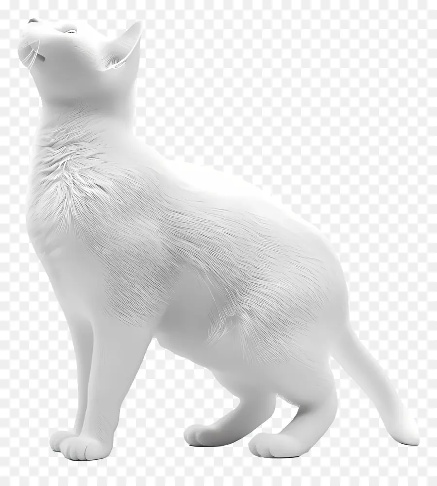 منظر جانبي للقطط，القط الأبيض PNG