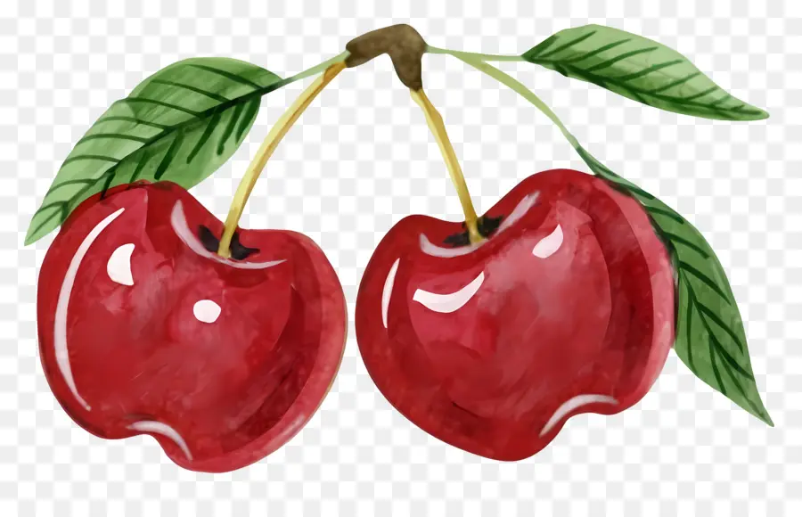 الكرز，الفاكهة الحمراء PNG