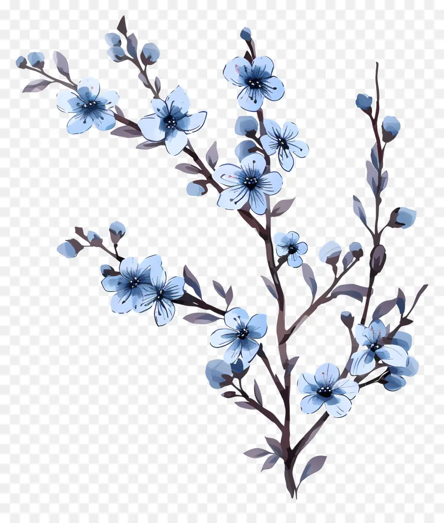 زهور زرقاء صغيرة，ساكورا PNG