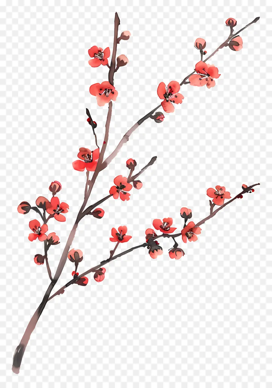 الزهور الحمراء الصغيرة，الرسم بالألوان المائية PNG