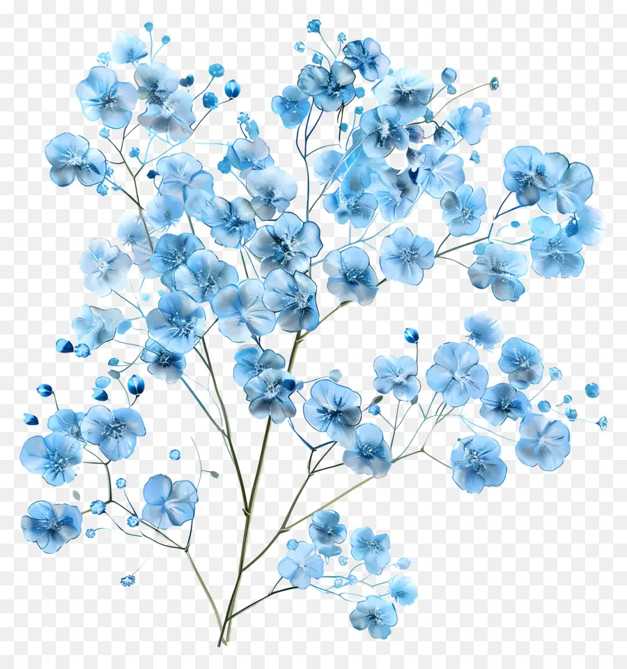 بابيس التنفس زهرة，زهور زرقاء صغيرة PNG