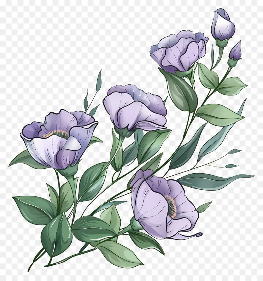 زهور يوستوما，الأرجواني الزهور PNG
