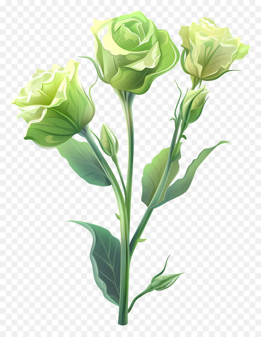 زهرة ليزيانثوس الخضراء，ارتفع الأخضر PNG