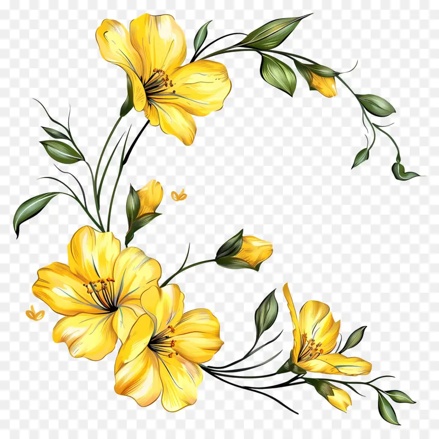 الزهور الصفراء，زهرة إكليل PNG