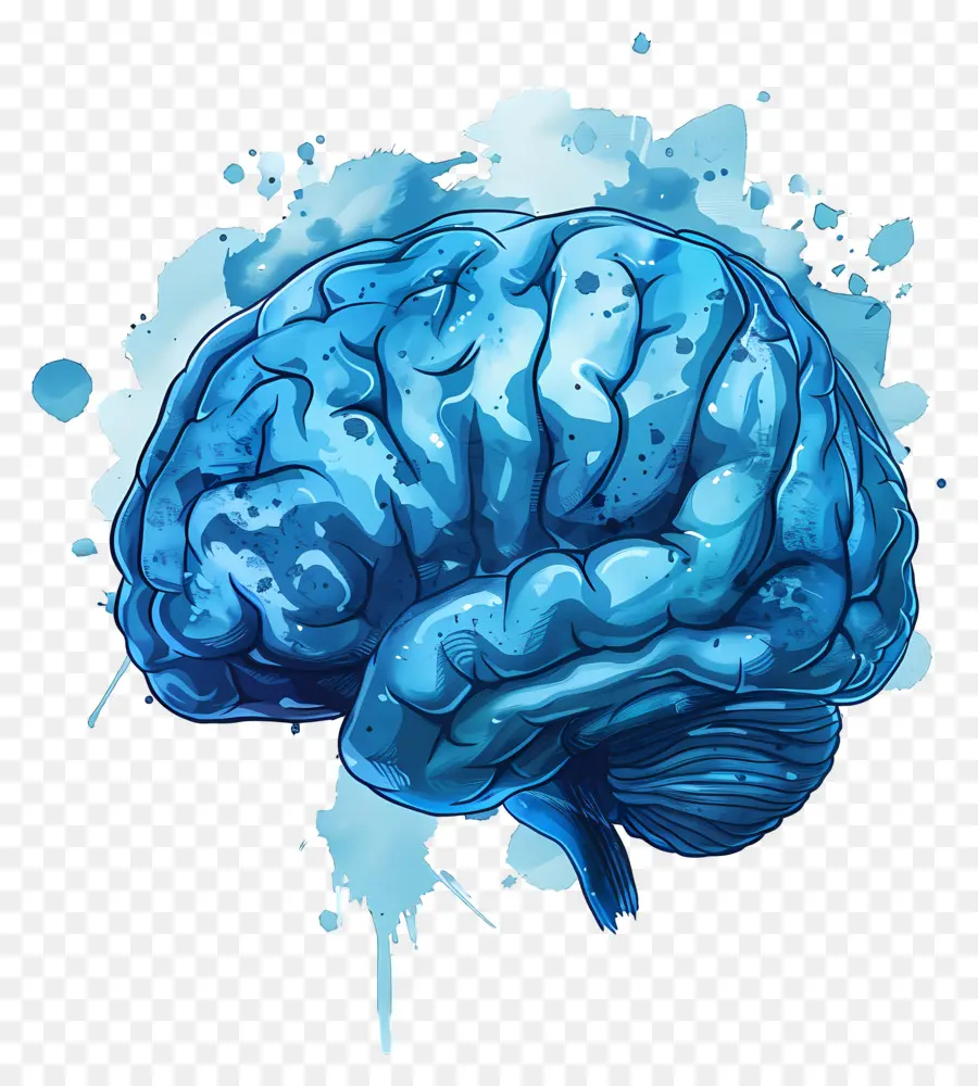 الدماغ الأزرق，الدماغ البشري PNG