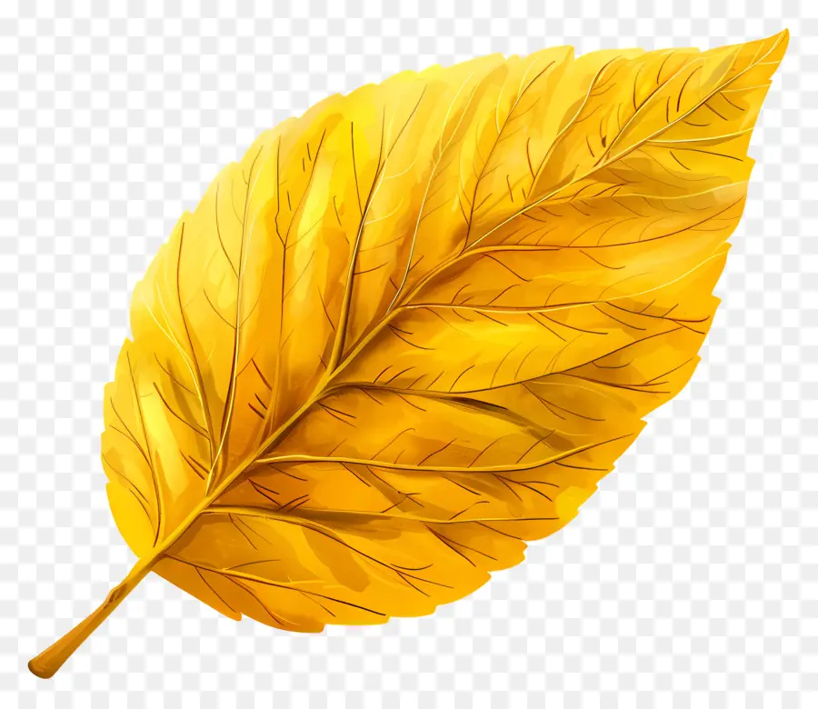 Leaf Leaf Clipart，ليف ذهبي PNG