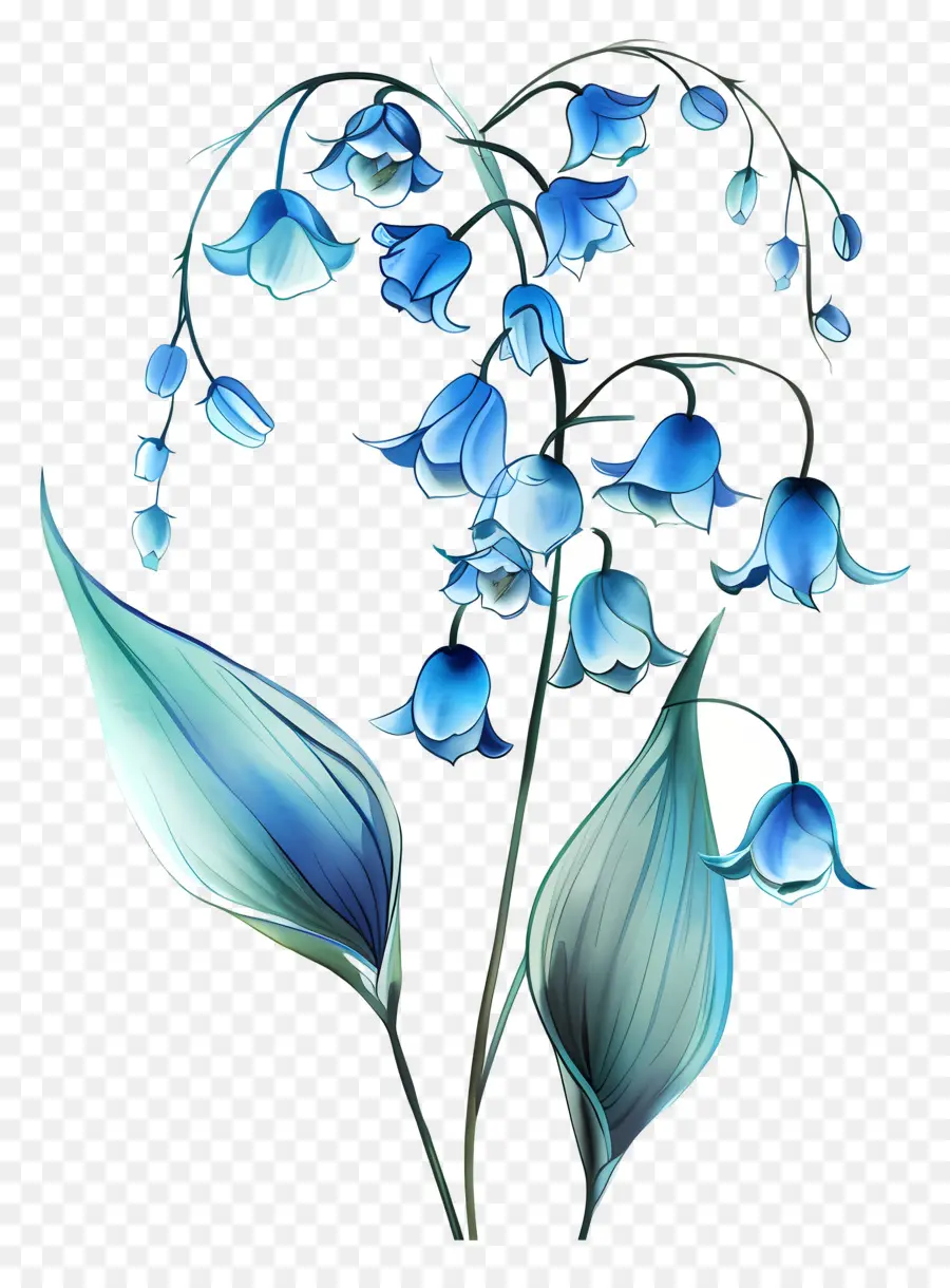 الزنبق الأزرق من الوادي，باقة من الزهور PNG