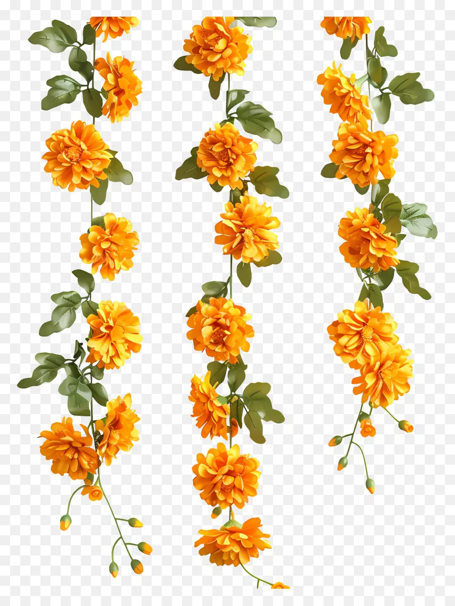 Marigold Garland，الزهور الصفراء PNG