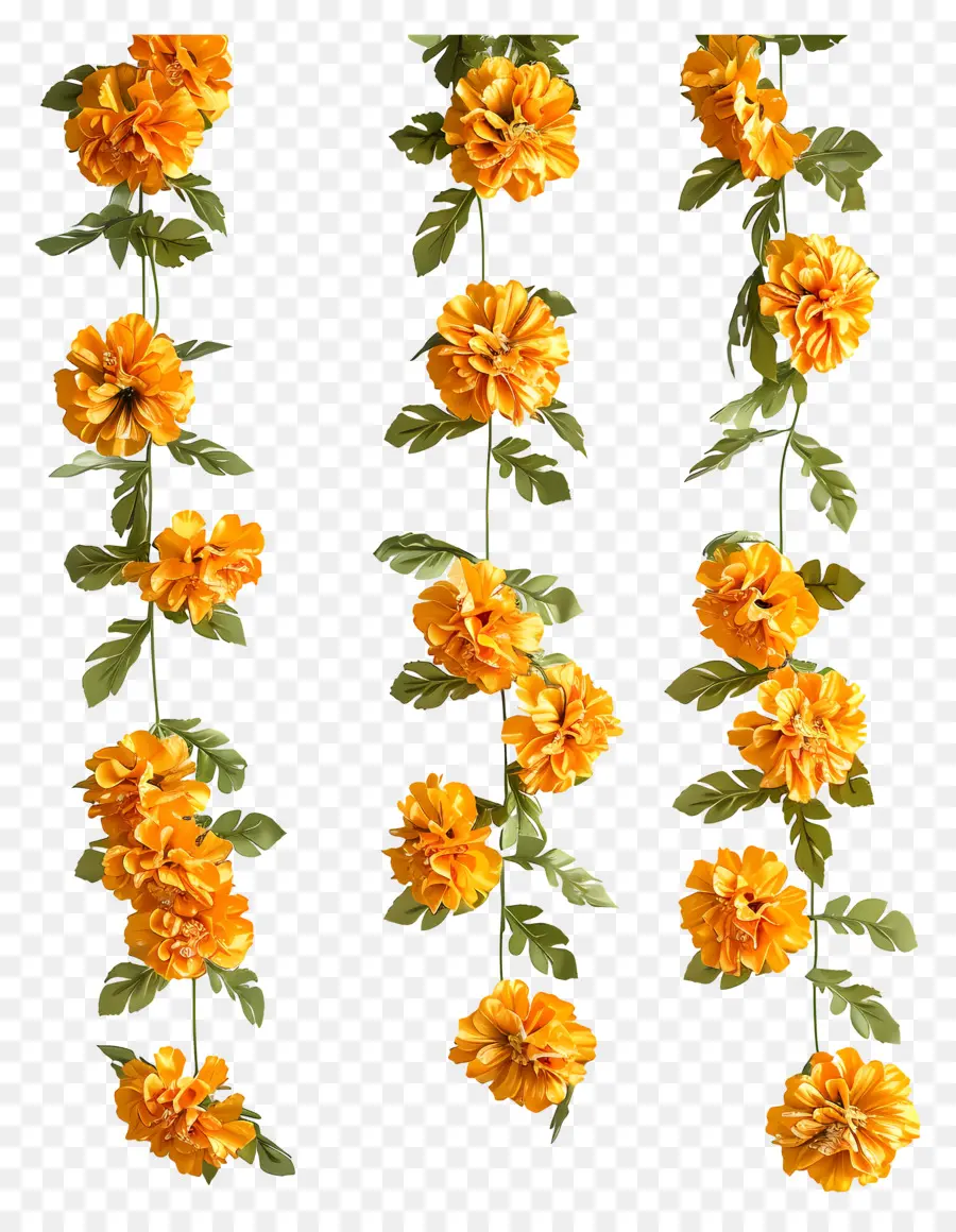 Marigold Garland，زهور البرتقال PNG