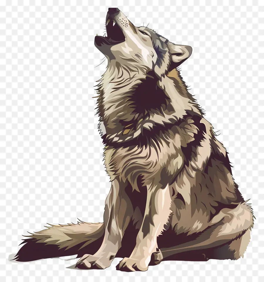 عواء الذئب，الذئب الرمادي PNG