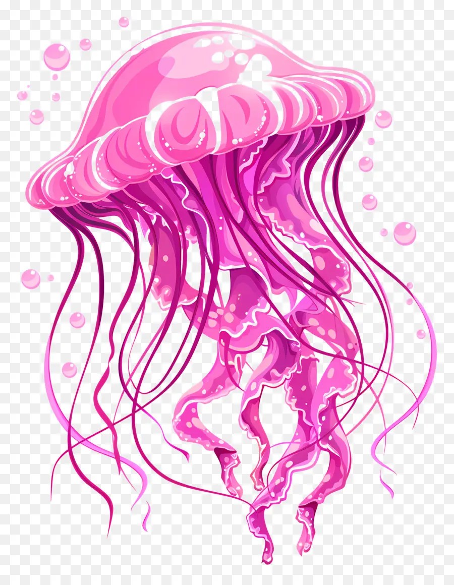 قنديل البحر，قناديل البحر الوردي PNG