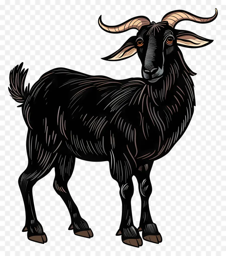 الماعز الأسود，قرون منحنية PNG