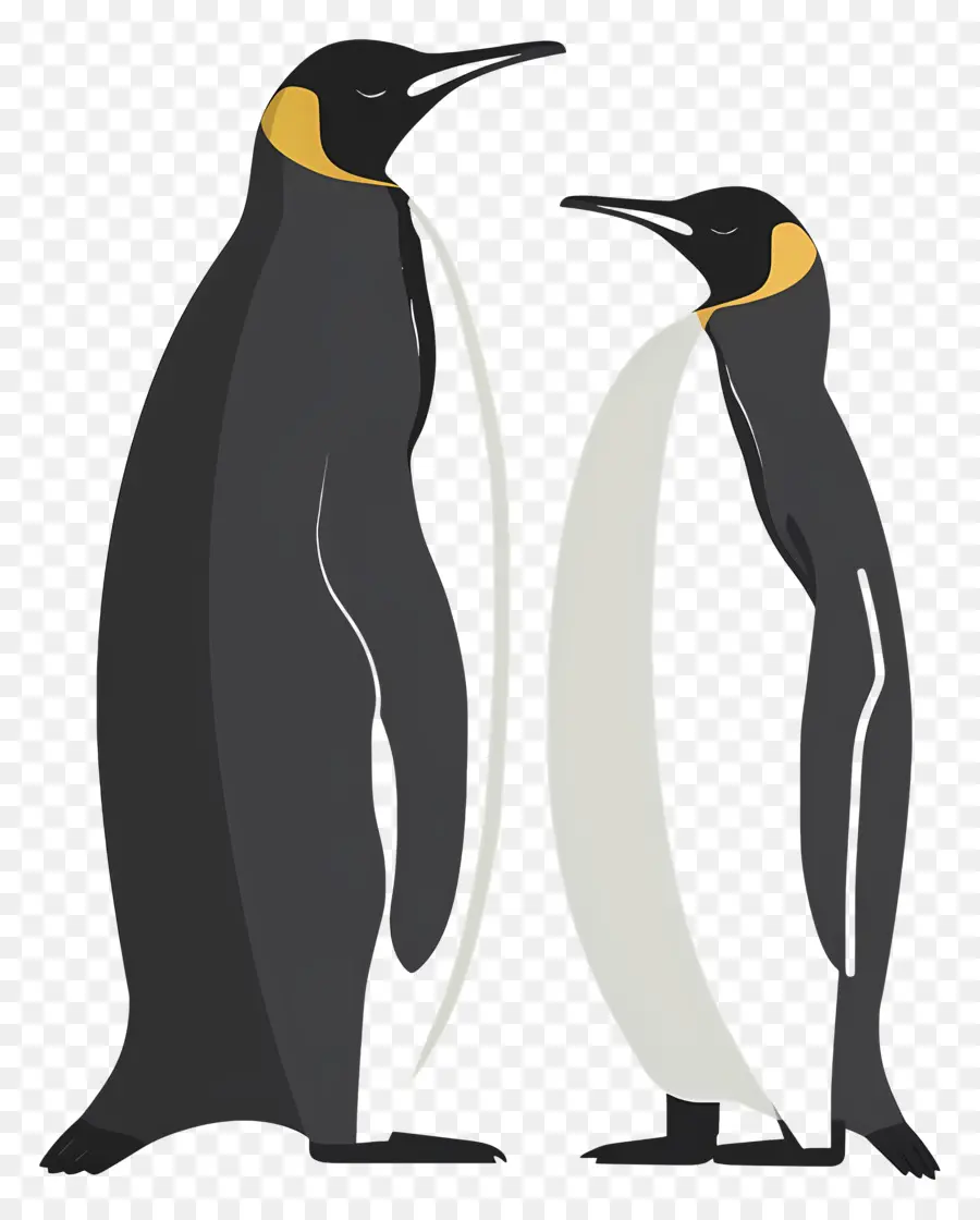 طيور البطريق，سترة سوداء PNG