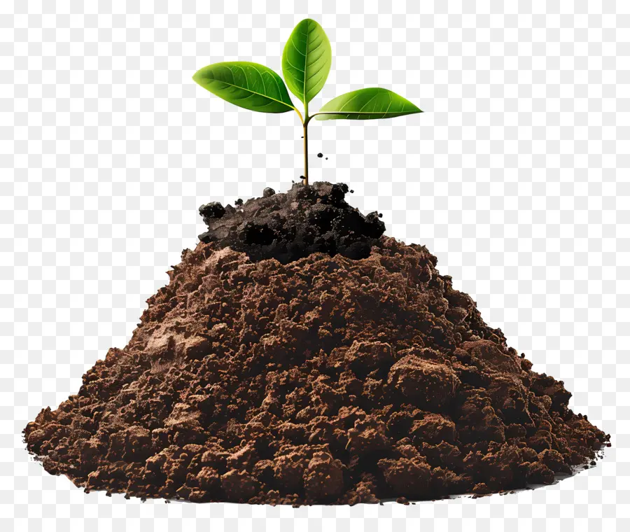 التربة，نمو النبات PNG