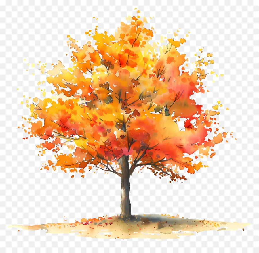خطة شجرة الألوان المائية，الخريف PNG