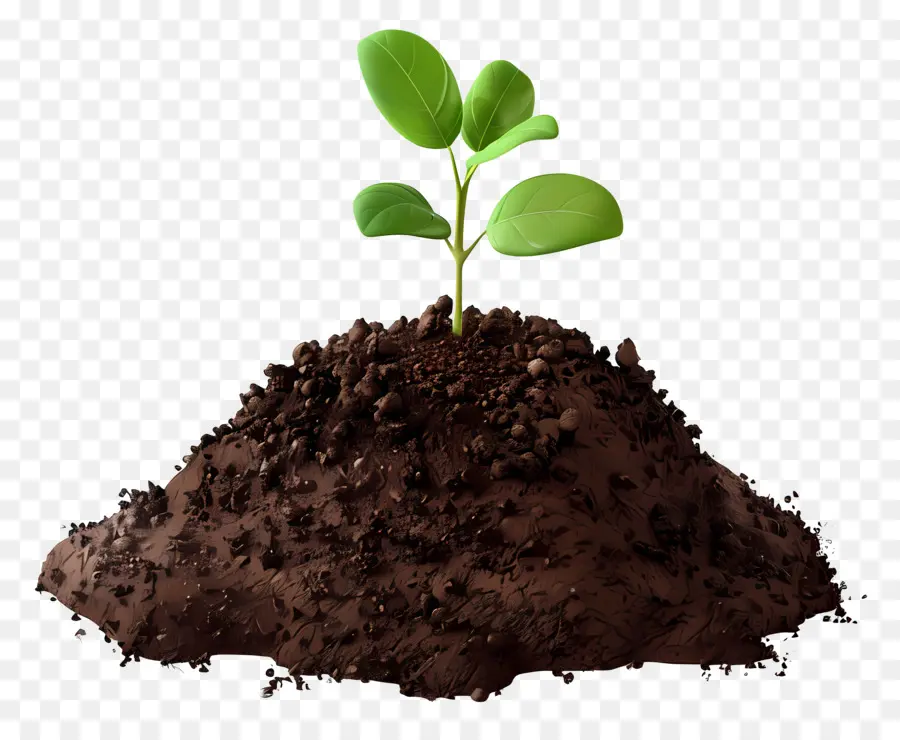 التربة，نمو النبات PNG