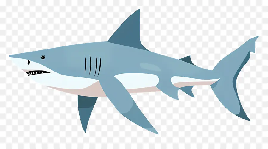 القرش，مفترس PNG