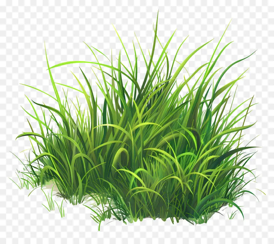 العشب الأرض，العشب PNG